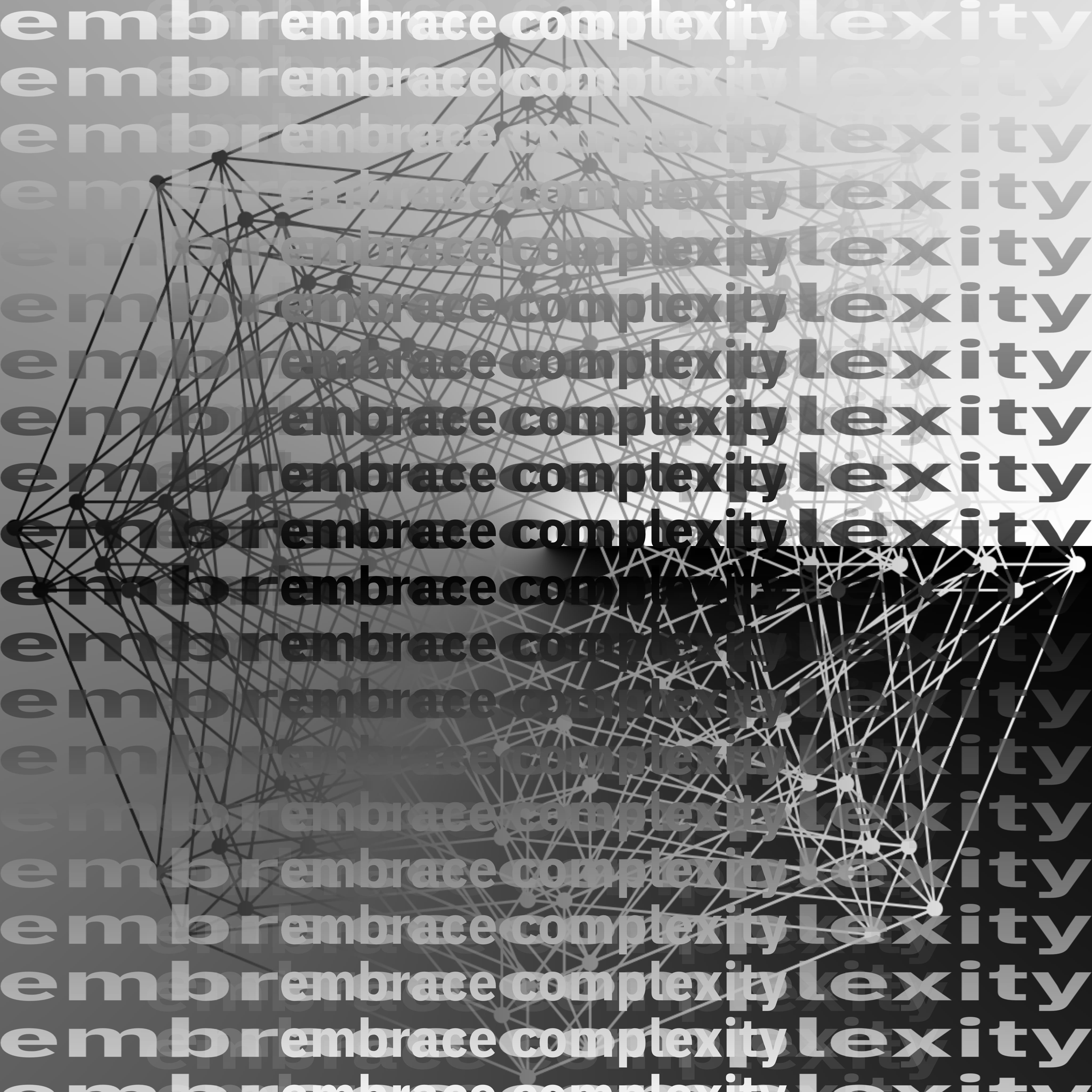 embrace complexity 02