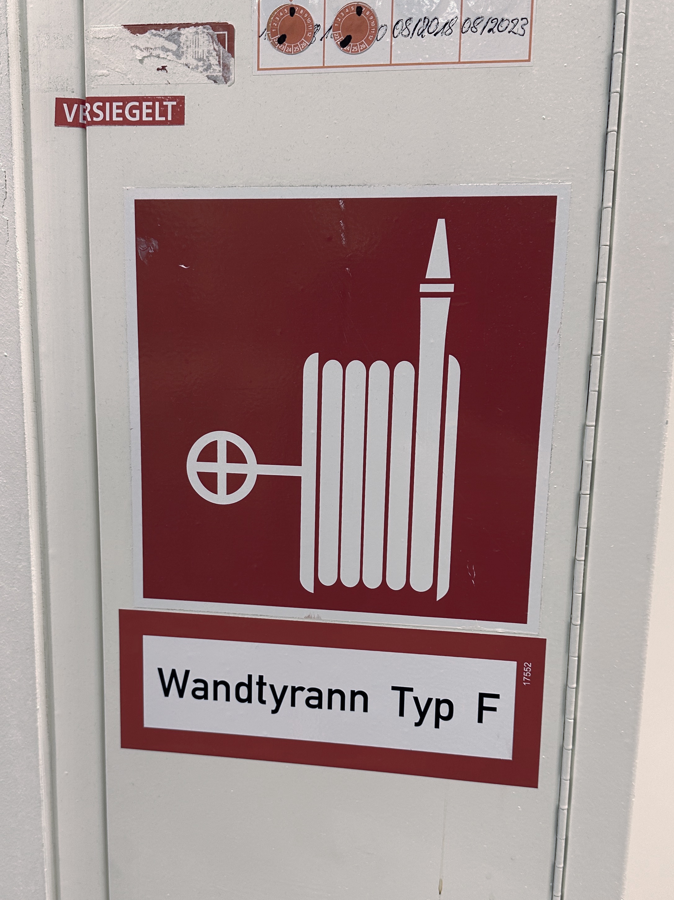 Ich sehe was, was du nicht siehst: Wandtyrann Typ F